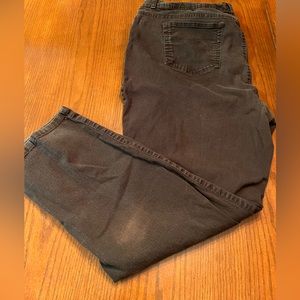 Style&Co brown denim pants Size 22w